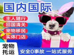 乌鲁木齐地窝堡国际宠物托运 【国